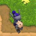 Sitting in a Knight's lap.