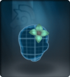 Military Flower