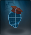 Heavy Scholarly Tam
