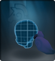 Shadow Pigtail Plumes