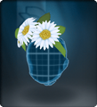 Daisy Crown