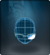 Polar Glasses