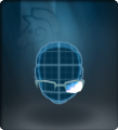 Polar Glasses