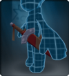 Heavy Parrying Blade