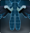Polar Wings